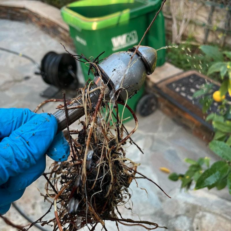 Roots for breakfast with this WarthogWorkWednesday \\n @vipsewer_drain_services\\n・・・\\n1/4 Warthog nozzle kicked some major butt today.