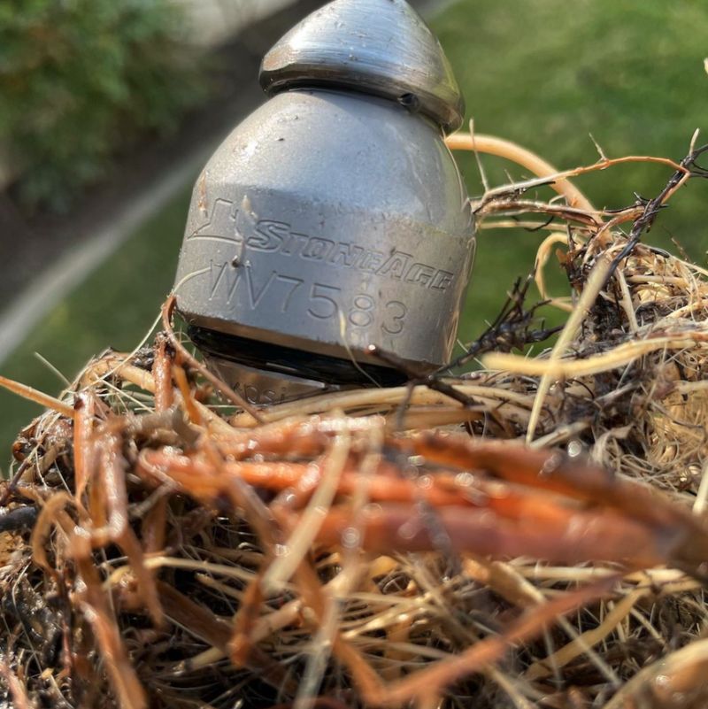 Roots for breakfast with this WarthogWorkWednesday \\n @vipsewer_drain_services\\n・・・\\n1/4 Warthog nozzle kicked some major butt today.