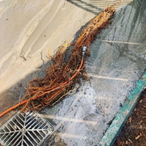 Blocked drain? Not with this hog! Thanks for the WarthogWorkWednesday submission @gettaplumber\n・・・\nStormwater line recently cleared using our high-pressure water jetter \n\nBlocked Drain!? Getta Plumber!! \n————————————————————\n• Plumbing • Drainage • Maintenance • \n1800 GETTAPLUMBER \n1800 438827